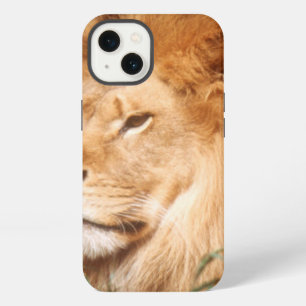 Adult male Lion iPhone 13 Case
