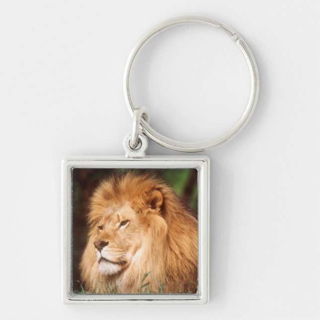 Adult male Lion Key Ring (Front)