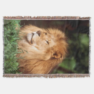 Adult male Lion Throw Blanket