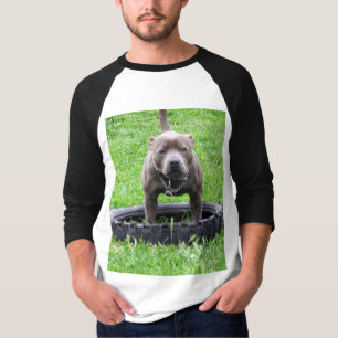 Adult Male Staffordshire Bull Terrier, T-Shirt