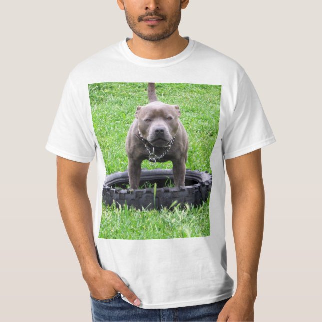 Adult Male Staffordshire Bull Terrier, T-Shirt (Front)