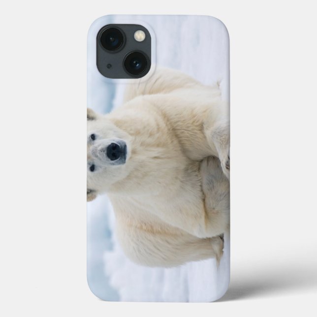 Adult polar bear on the summer pack ice Case-Mate iPhone case (Back)