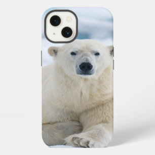 Adult polar bear on the summer pack ice iPhone 13 case