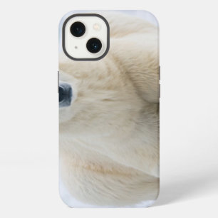 Adult polar bear on the summer pack ice iPhone 13 case