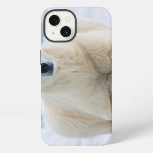 Adult polar bear on the summer pack ice iPhone 13 case