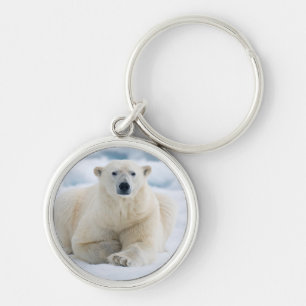Adult polar bear on the summer pack ice key ring