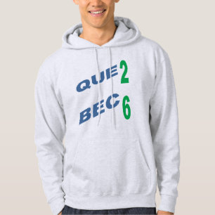 Adult Pullover Hoodie ash DESIGN QUEBEC 26