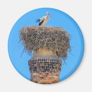 Adult stork in nest on chimney.JPG Magnet