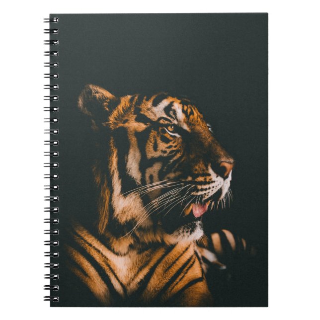 ADULT TIGER PRONE LYING INSIDE DIM LIGHTED ROOM NOTEBOOK (Front)