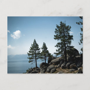 Advantage Postcard