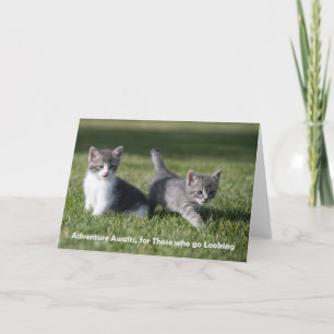 Adventure awaits kitten note card