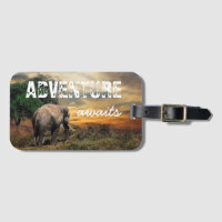 "Adventure Awaits" Thailand Elephant