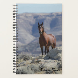 Adventure Planner
