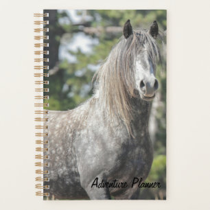 Adventure Planner