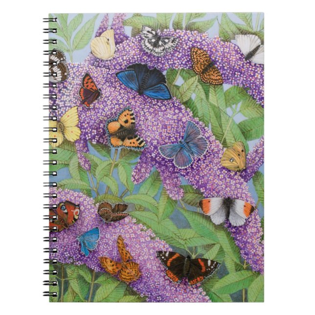Adventuring 2011 spiral notebook (Front)