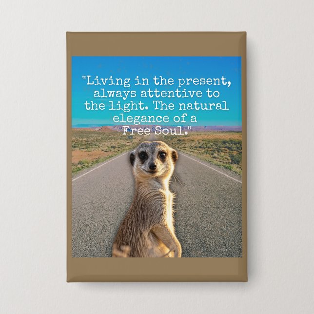 Adventurous Meerkat Living (Front)