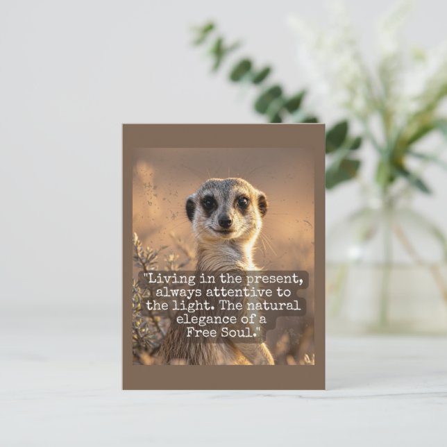 Adventurous Meerkat Living Postcard (Standing Front)