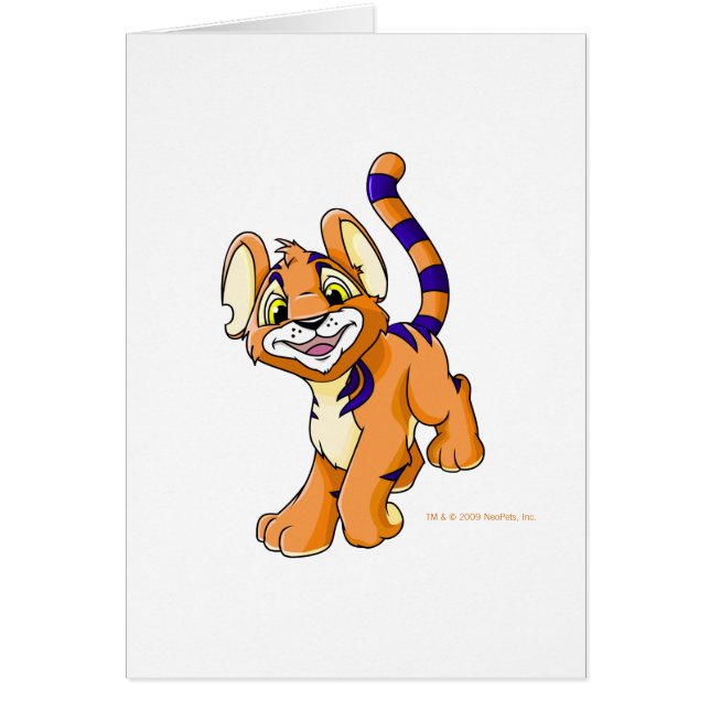 Adventurous orange Kougra (Front)