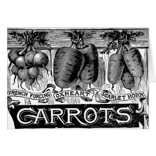 Advert 4 vintage carrots