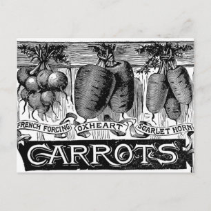 Advert 4 vintage carrots postcard