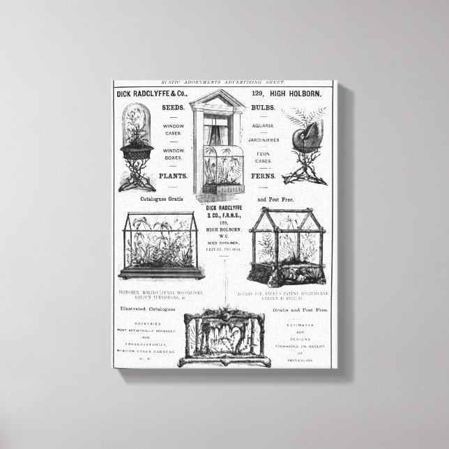 Advertisement for 'Dick Radclyffe & Co.' Rustic Ad Canvas Print (Front)