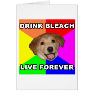 Advice Dog