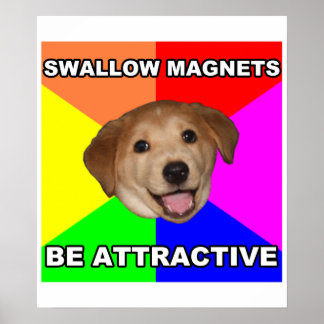 Advice Dog Swallow Magnets Poster