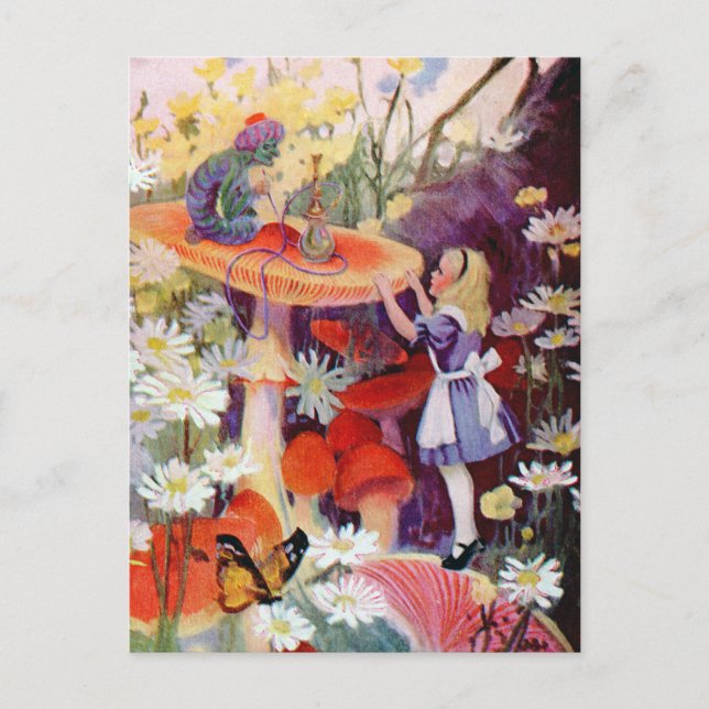 ADVICE FROM A CATERPILLAR POSTCARD (Front)