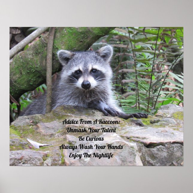 Advice From A Racoon Poster (Front)