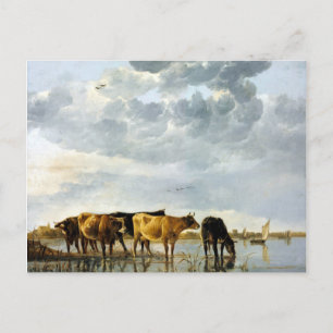 Aelbert Cuyp Cows in a River Postcard