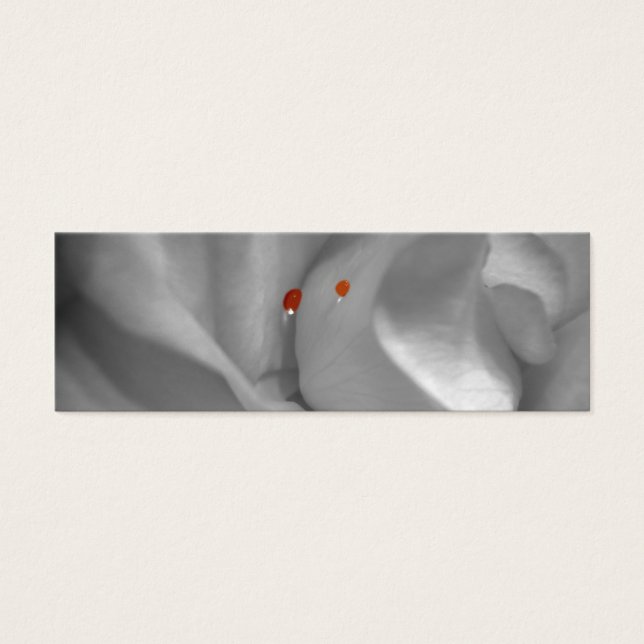 Aeolian Watercolor Bookmarks (Front)