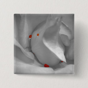 Aeolian Watercolor Button