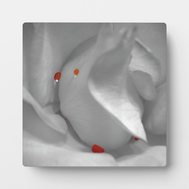 Aeolian Watercolor Plaque (Front)