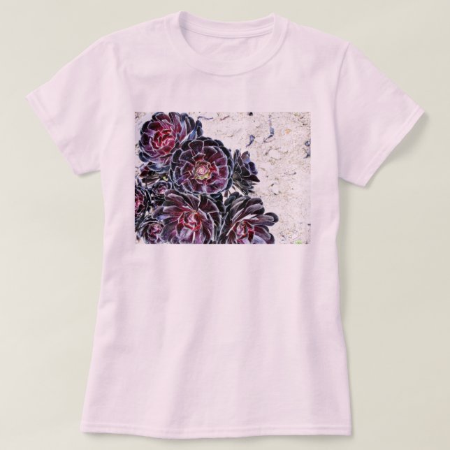 Aeonium Flower On Dry Rocks T-Shirt (Design Front)