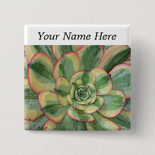 Aeonium 'Sunburst' pin-back button name tag