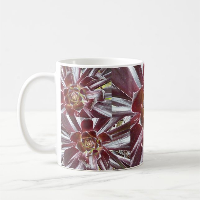 Aeonium Zwartkop succulent mug (Left)