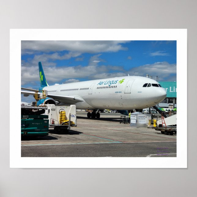 Aer Ligus Open Edition Poster (Front)