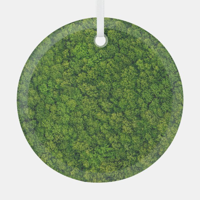 Aerial forest view, top view, copy space. glass tree decoration (Front)