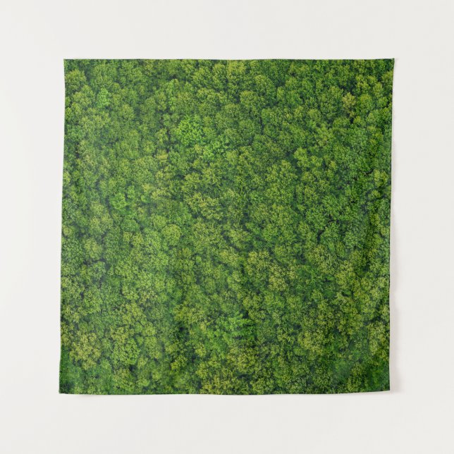 Aerial forest view, top view, copy space. tapestry (Front)