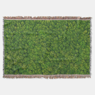 Aerial forest view, top view, copy space. throw blanket