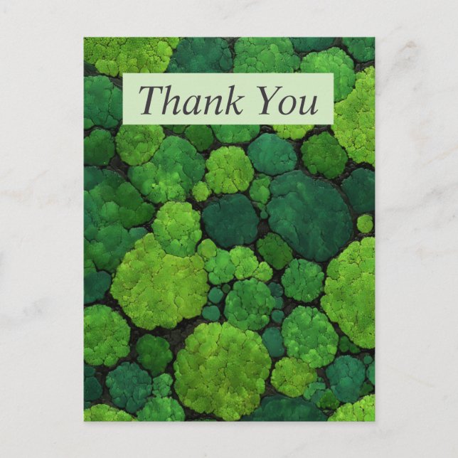 Aerial Green Tree Tops Thank You Card (Front)