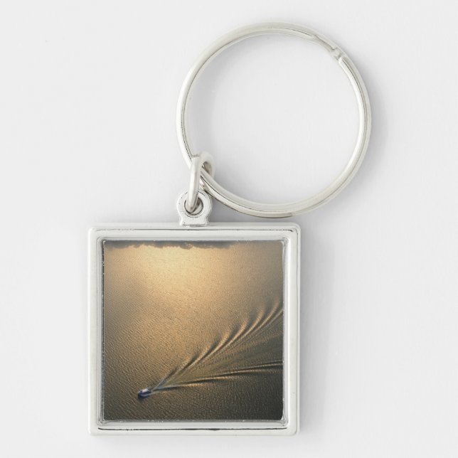 aerial image of boat in Lake Gatun Panama Key Ring (Front)