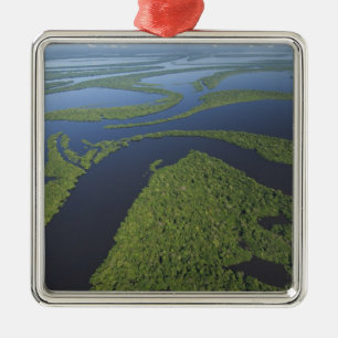 Aerial of Anavilhanas Archipelago, Flooded Metal Tree Decoration