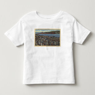 Aerial of Entire Downtown Toddler T-Shirt