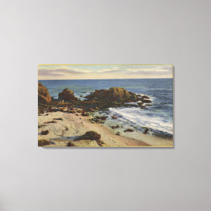 Aerial of the Rocky Coast Canvas Print