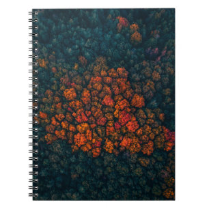 Aerial photography of forest notebook