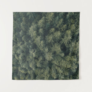 Aerial photography of green trees tapestry