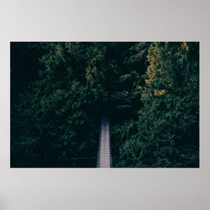 AERIAL PHOTOGRAPHY OF HANGING BRIDGE NEAR TREES POSTER