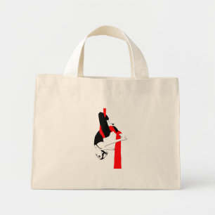 Aerial Silks Bag