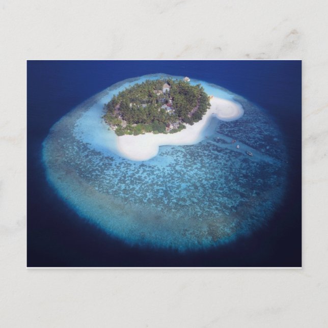 Aerial View of a Tropical Island, Maldives Postcard (Front)